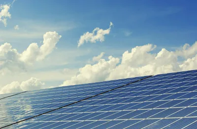 Assinatura digital e ESG: como contribuir para a sustentabilidade com o Signater